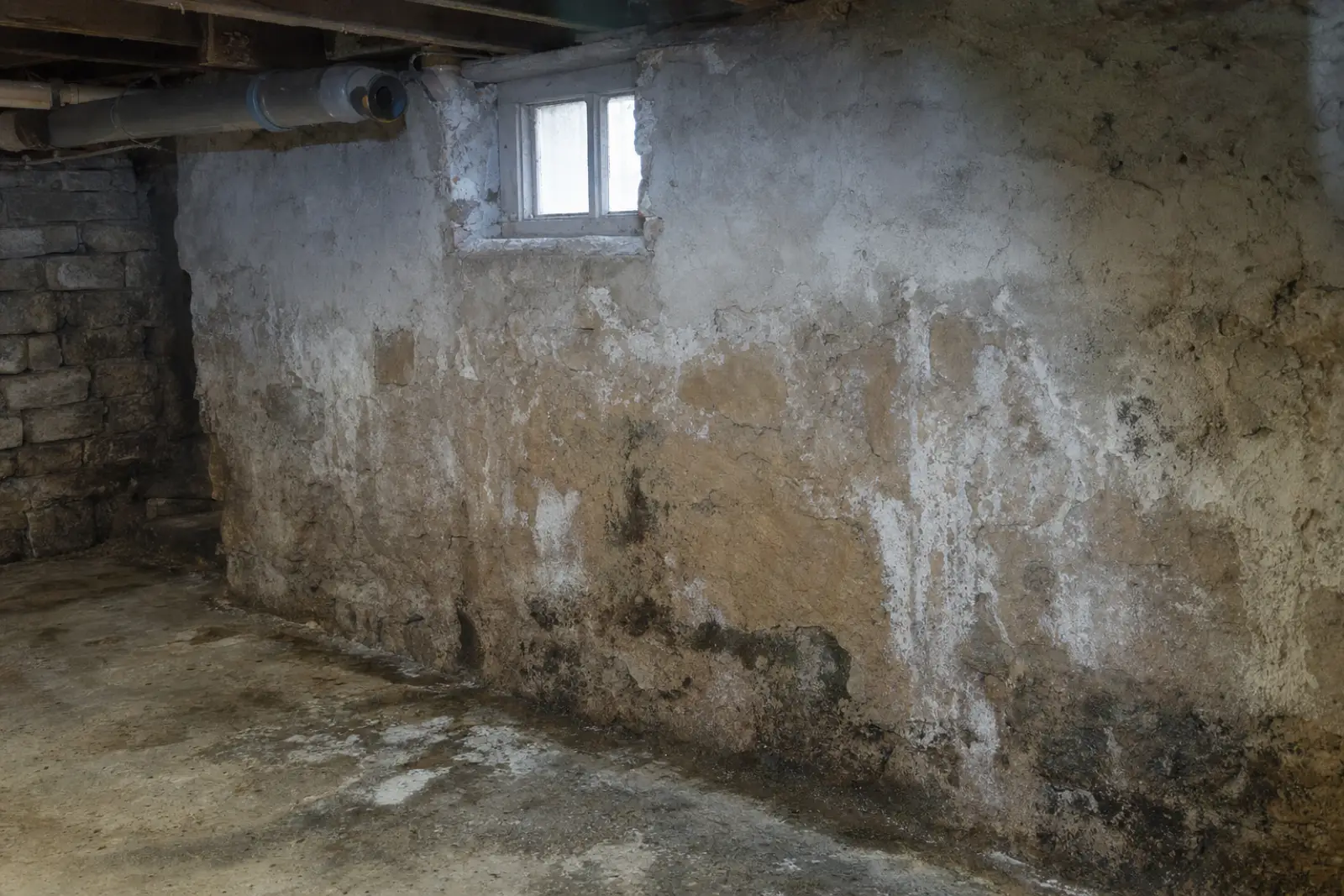 Schimmel Im Keller