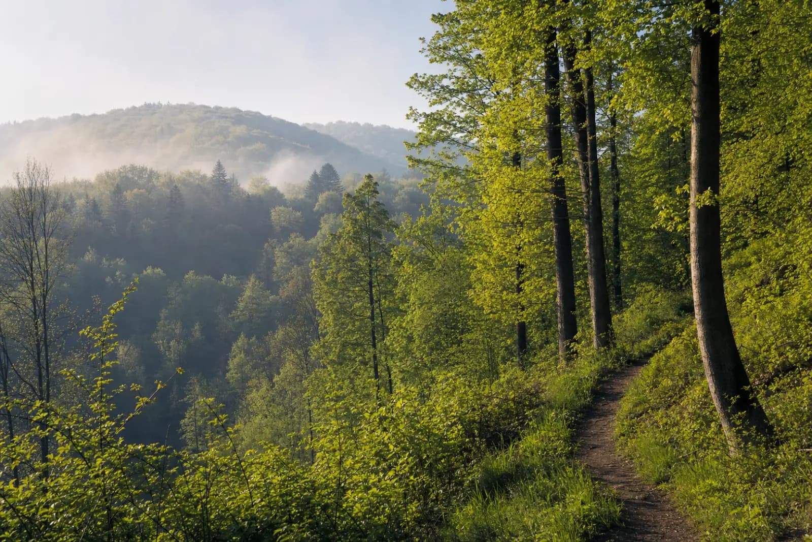 Teutoburger Wald bei Bielefeld